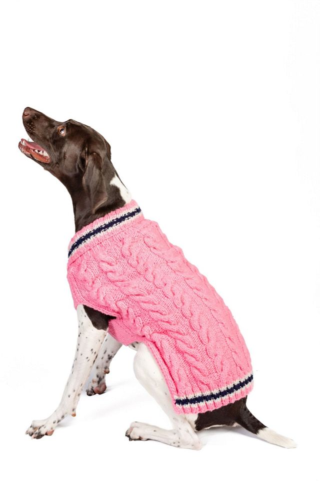 Chilly Dog Preppy Sweater #2