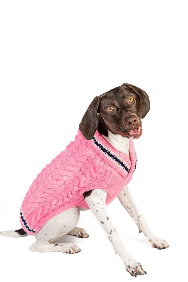 Chilly Dog Preppy Sweater #1