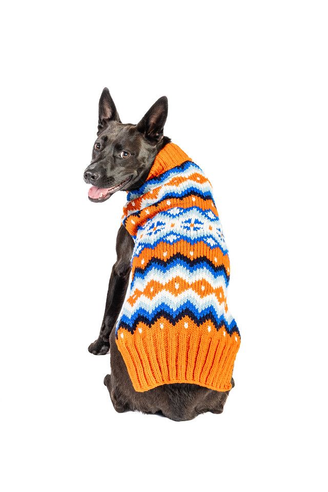 Chilly Dog Campfire Sweater #2