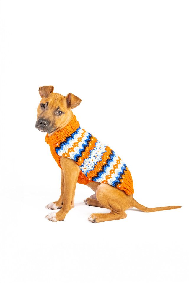 Chilly Dog Campfire Sweater #1