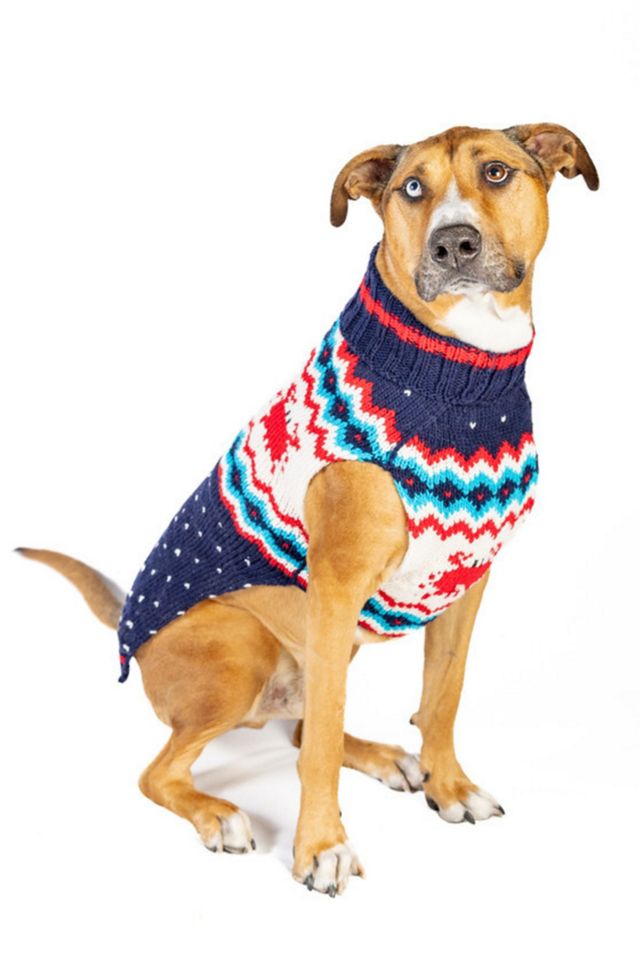 Chilly Dog Crabby Sweater #1