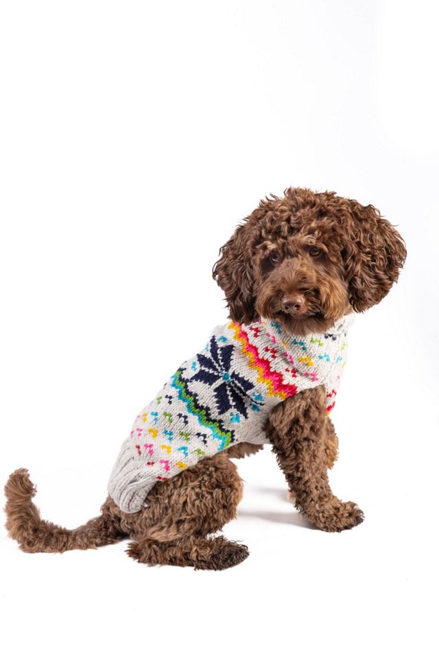 Chilly Dog Rainbow Snowflake Sweater #1