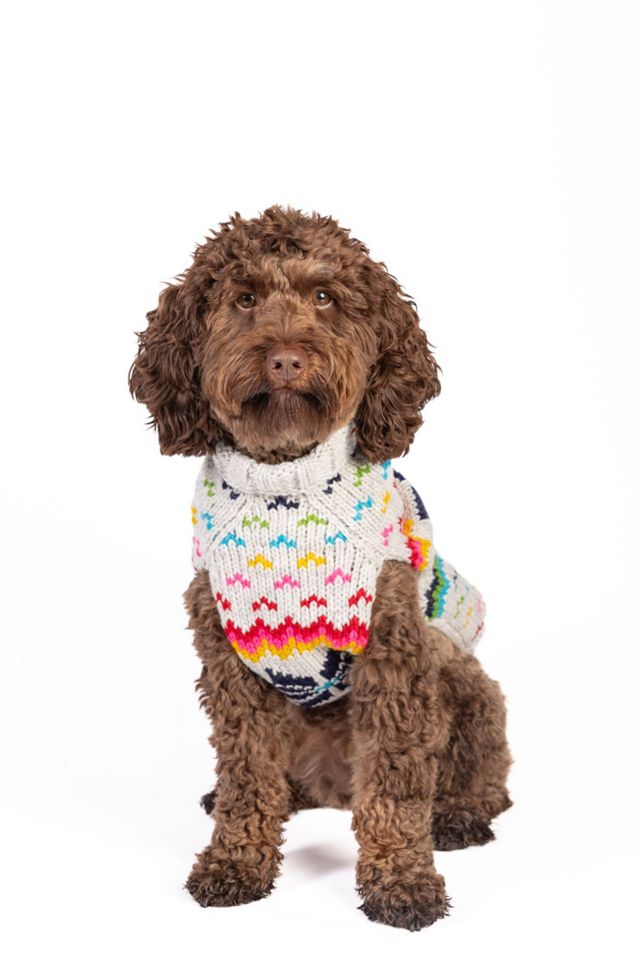 Chilly Dog Rainbow Snowflake Sweater #2