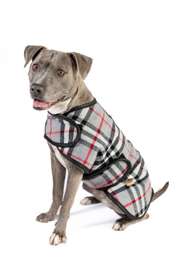 Chilly Dog Steel Tartan Plaid Coat #2