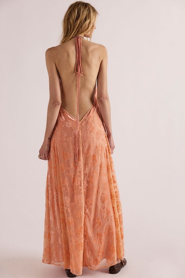 Catalina Velvet Maxi Dress #1