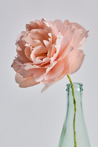 Create Your Own Paper Flower by Free People