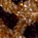 Rose Gold Toffee