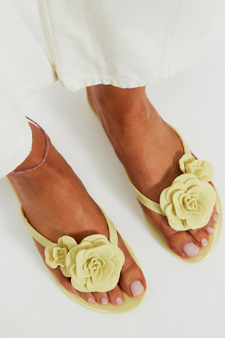Melissa Harmonic Petals Flip Flops at Free People in Green, Size: US 8