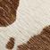 Brown Pattern