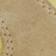 Jaune Beurre / Gomme