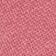 Pink Peacock