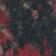 Camo Floral - Red Combo