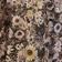Floral Camo Washed Away