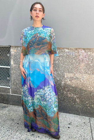 1960-70’s Landscape Print Gown Selected by Nomad Vintage