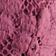 Dry Rose
