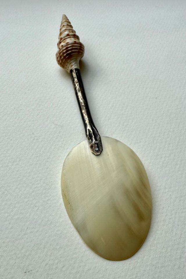 Vintage Seashell Spoon Selected by Wax Plant #3