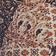 Paisley Passion