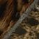 Trench / Leopard