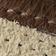 Nut / Brown