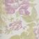 Rose anglaise