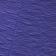 Blue Iris