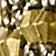 Ivory & Gold