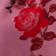 Desert Rose Combo
