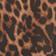 Leopard Print