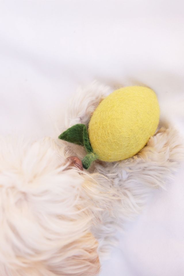 MODERNBEAST Doggy Lemon #2