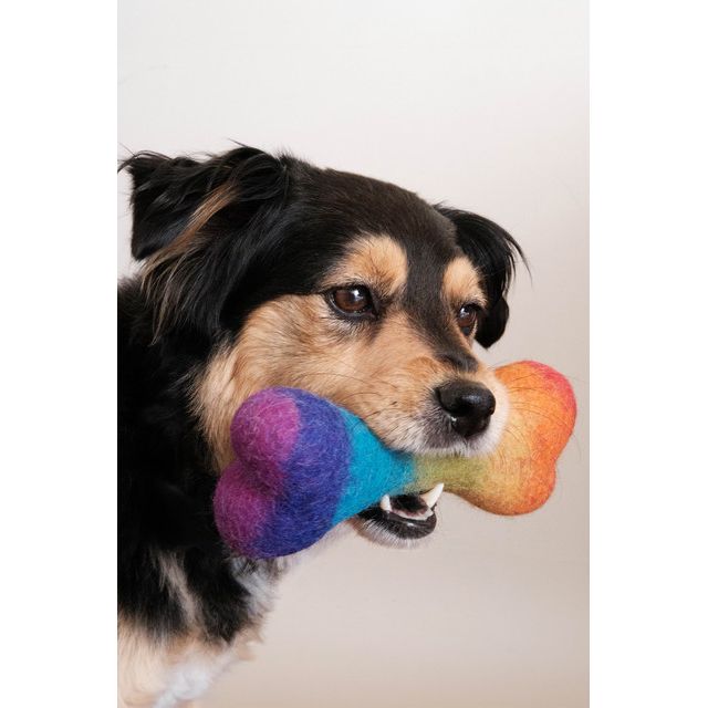 MODERNBEAST Rainbow Wool Bone #1