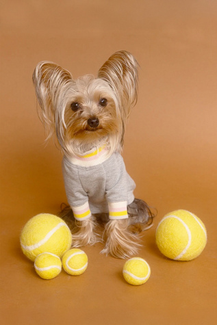 MODERNBEAST Wool Tennis Ball