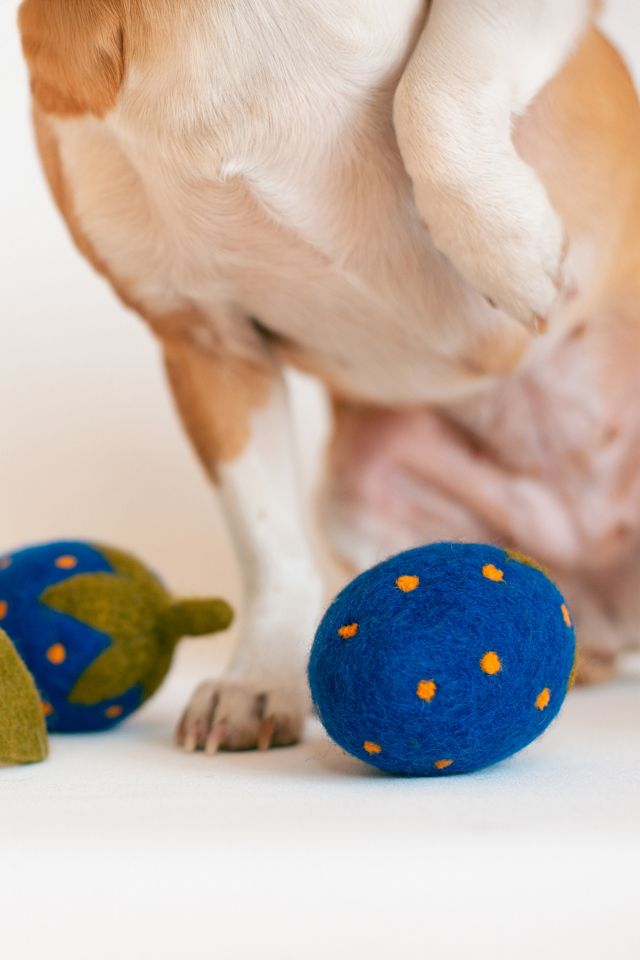 MODERNBEAST Doggy Strawberry #1