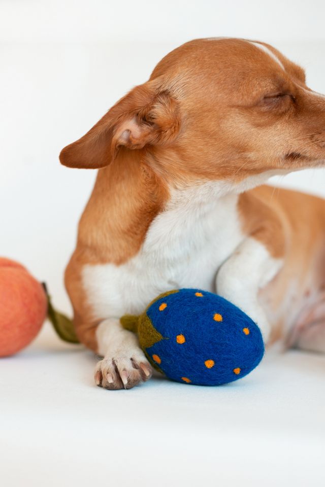 MODERNBEAST Doggy Strawberry #3