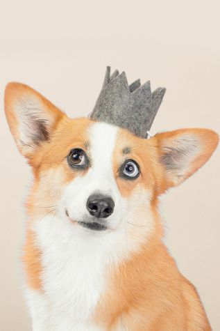 MODERNBEAST Party Crown