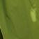 Sways Of Palm