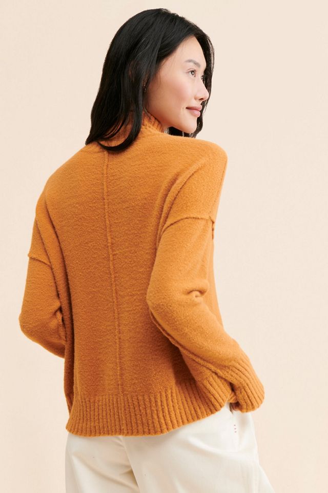 Vancouver Knit Turtleneck #1