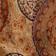 Scarf Print