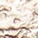 Cygne