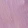 Sweet Lilac
