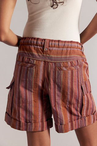 Женские шорты Free People Frankie Striped, цвет: Какао комбинированный — фото 2
