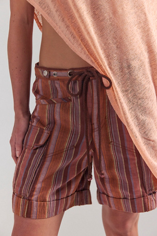 Женские шорты Free People Frankie Striped, цвет: Какао комбинированный — фото 5