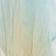 Breeze Ombre