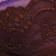 Violet Combo