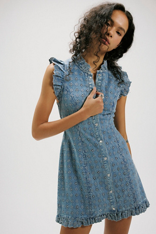 Silver Springs Mini Dress