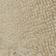 Sand Dollar
