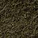 Antique Olive / Antique Olive