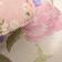 Dog - Blush Multi