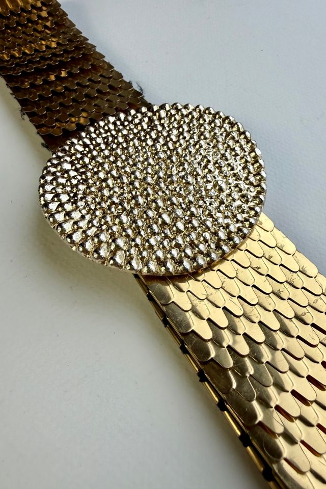 Gold Fish Scale Belt Selected by Wax Plant #1