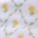 Marigold