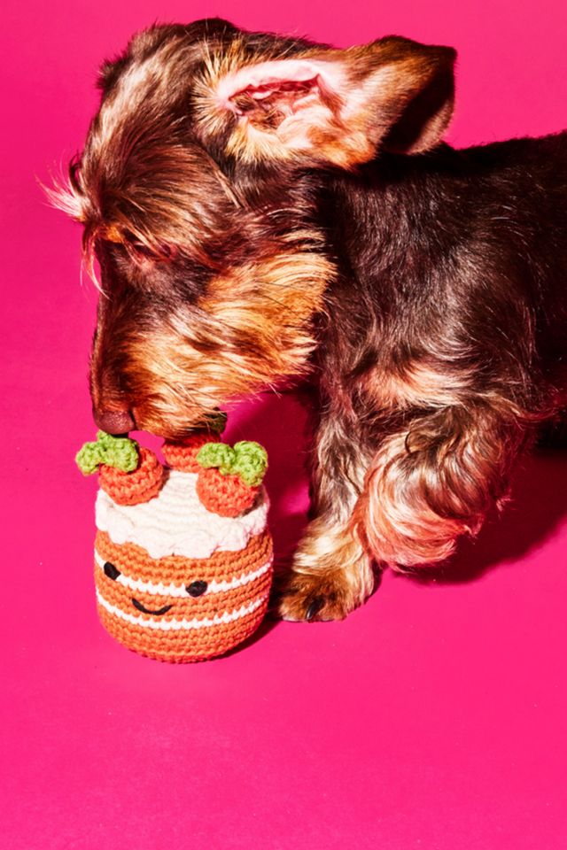 Ware of the Dog Hand Crochet Carrot Cake #1